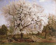 Carl Fredrik Hill apple tree in blossom USA oil painting artist